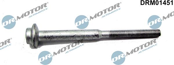 Lizarte DRM01451 - Болт, кріплення форсунки autozip.com.ua