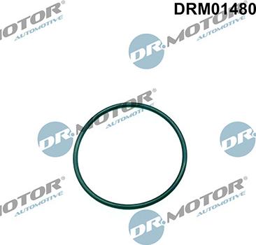 Lizarte DRM01480 - Прокладка, паливний насос високого тиску autozip.com.ua