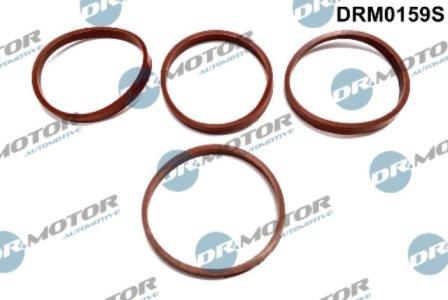 Lizarte DRM0159S - Комплект прокладок, впускний колектор autozip.com.ua