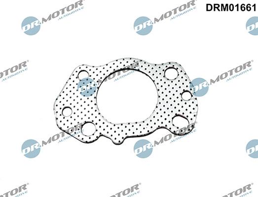 Lizarte DRM01661 - Прокладка, випускний колектор autozip.com.ua
