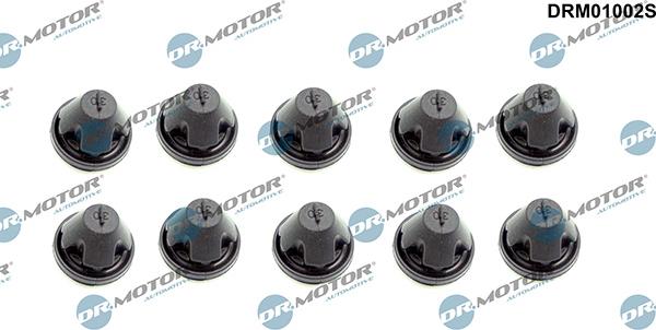 Lizarte DRM01002S - Кріпильний елемент, кожух двигуна autozip.com.ua