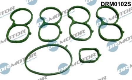 Lizarte DRM0102S - Комплект прокладок, впускний колектор autozip.com.ua