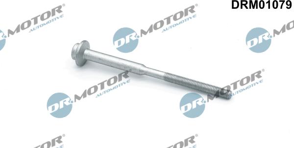 Lizarte DRM01079 - Болт, кріплення форсунки autozip.com.ua