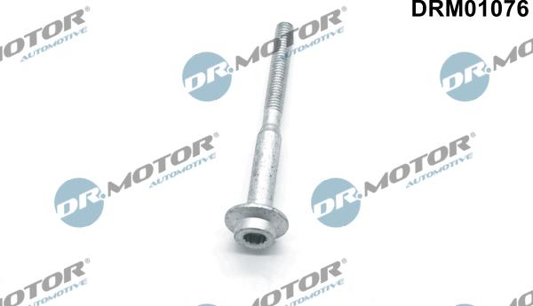 Lizarte DRM01076 - Болт, кріплення форсунки autozip.com.ua