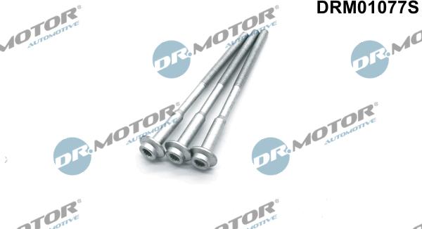 Lizarte DRM01077S - Болт, кріплення форсунки autozip.com.ua