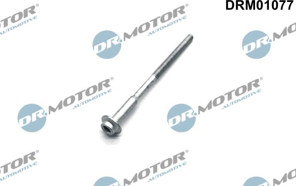 Lizarte DRM01077 - Болт, кріплення форсунки autozip.com.ua