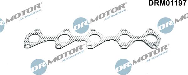 Lizarte DRM01197 - Прокладка, випускний колектор autozip.com.ua