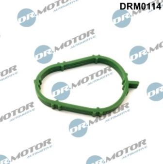 Lizarte DRM0114 - Прокладка, впускний колектор autozip.com.ua