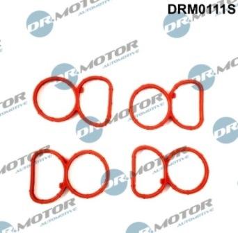 Lizarte DRM0111S - Комплект прокладок, впускний колектор autozip.com.ua