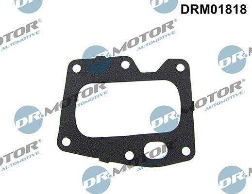 Lizarte DRM01818 - Прокладка, клапан повернення ОГ autozip.com.ua