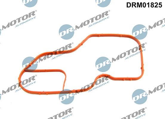 Lizarte DRM01825 - Прокладка, корпус термостата autozip.com.ua
