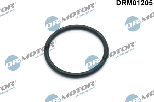 Lizarte DRM01205 - Прокладка, водяний насос autozip.com.ua
