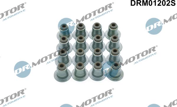 Lizarte DRM01202S - Комплект прокладок, стержень клапана autozip.com.ua