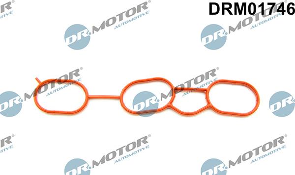 Lizarte DRM01746 - Прокладка, впускний колектор autozip.com.ua
