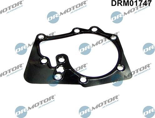 Lizarte DRM01747 - Прокладка, водяний насос autozip.com.ua