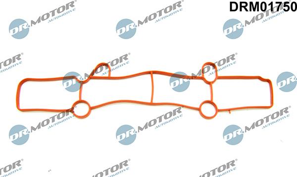 Lizarte DRM01750 - Прокладка, впускний колектор autozip.com.ua