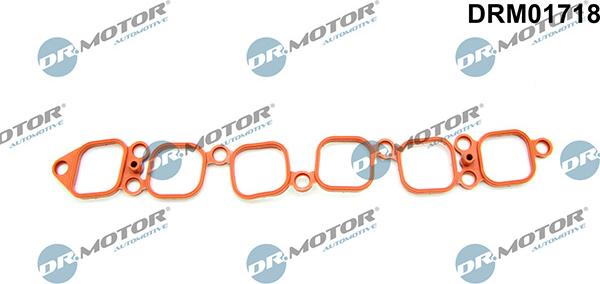 Lizarte DRM01718 - Прокладка, впускний колектор autozip.com.ua