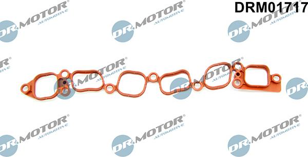 Lizarte DRM01717 - Прокладка, впускний колектор autozip.com.ua
