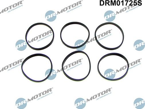 Lizarte DRM01725S - Комплект прокладок, впускний колектор autozip.com.ua