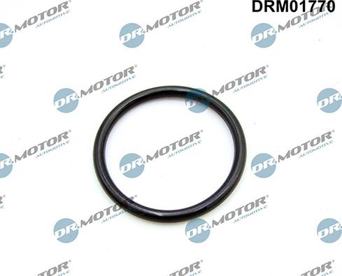 Lizarte DRM01770 - Прокладка, впускний колектор autozip.com.ua