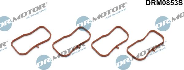Lizarte DRM0853S - Комплект прокладок, впускний колектор autozip.com.ua
