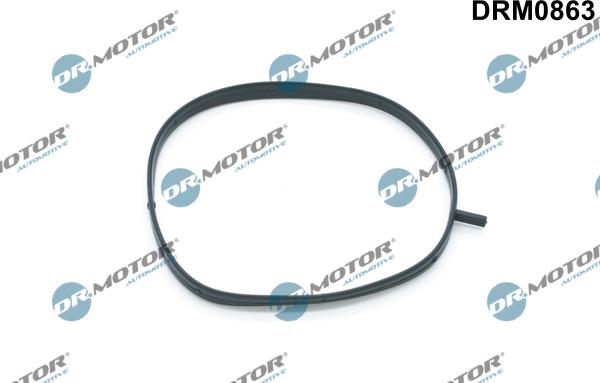 Lizarte DRM0863 - Прокладка, корпус впускного колектора autozip.com.ua