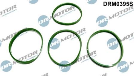 Lizarte DRM0395S - Комплект прокладок, впускний колектор autozip.com.ua