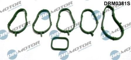 Lizarte DRM0381S - Комплект прокладок, впускний колектор autozip.com.ua