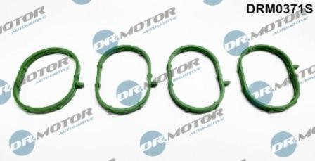 Lizarte DRM0371S - Комплект прокладок, впускний колектор autozip.com.ua