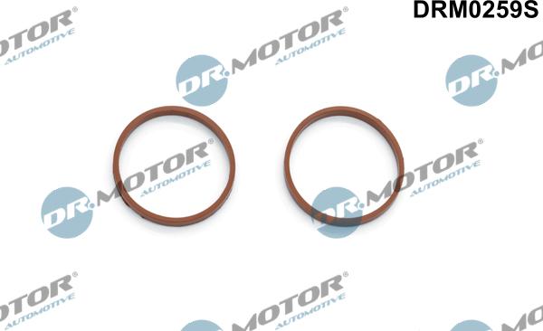 Lizarte DRM0259S - Комплект прокладок, впускний колектор autozip.com.ua