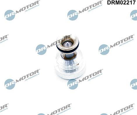 Lizarte DRM02217 - Зворотний клапан autozip.com.ua