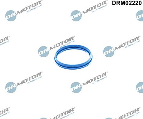 Lizarte DRM02220 - Прокладка, корпус впускного колектора autozip.com.ua