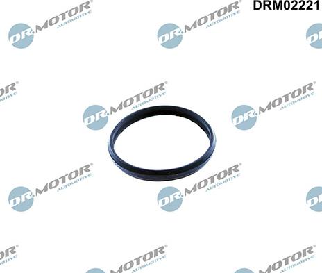 Lizarte DRM02221 - Прокладка, натяжний пристрій ланцюга приводу autozip.com.ua