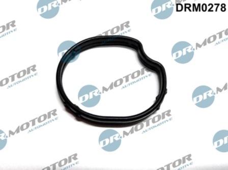 Lizarte DRM0278 - Прокладка, корпус термостата autozip.com.ua