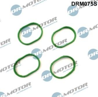 Lizarte DRM075S - Комплект прокладок, впускний колектор autozip.com.ua