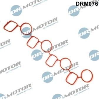 Lizarte DRM076 - Прокладка, впускний колектор autozip.com.ua