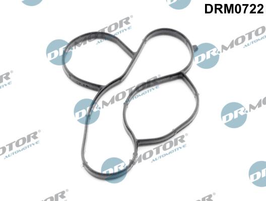 Lizarte DRM0722 - Прокладка, водяний насос autozip.com.ua