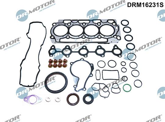 Lizarte DRM16231S - Комплект прокладок, двигун autozip.com.ua