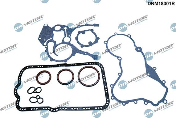 Lizarte DRM18301R - Комплект прокладок, блок-картер двигуна autozip.com.ua