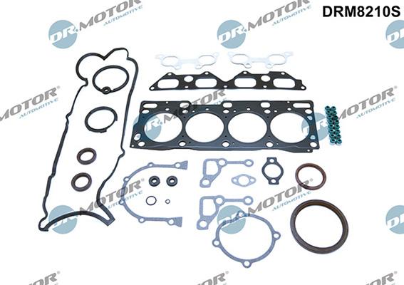 Lizarte DRM8210S - Комплект прокладок, двигун autozip.com.ua