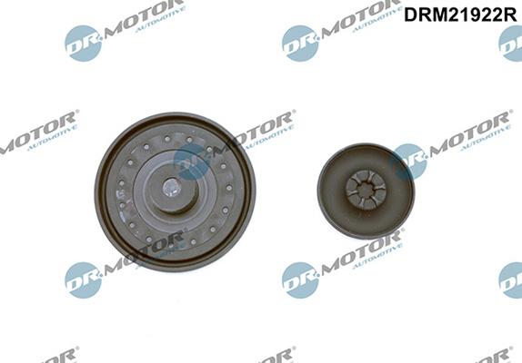 Lizarte DRM21922R - Мембрана, вентиляція картера autozip.com.ua