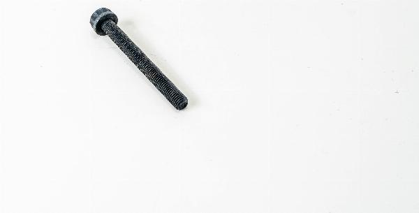 Magneti Marelli 481700 - Болт головки циліндра autozip.com.ua