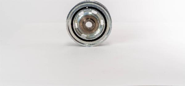 Magneti Marelli 512625 - Ремінний шків, колінчастий вал autozip.com.ua