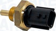 Magneti Marelli 171916011470 - Датчик, температура охолоджуючої рідини autozip.com.ua