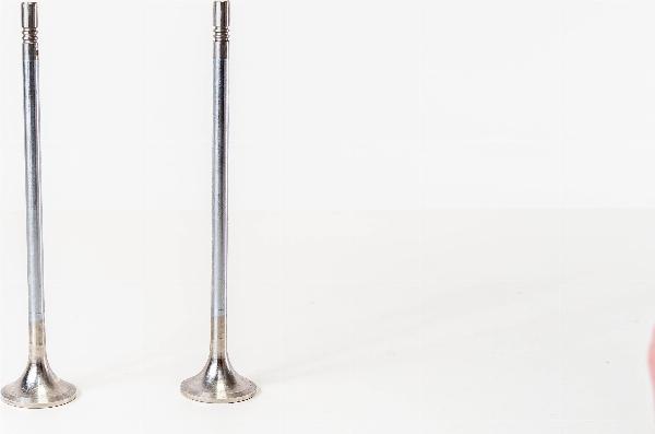 Magneti Marelli 829061 - Випускний клапан autozip.com.ua