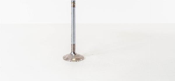 Magneti Marelli 825440 - Впускний клапан autozip.com.ua