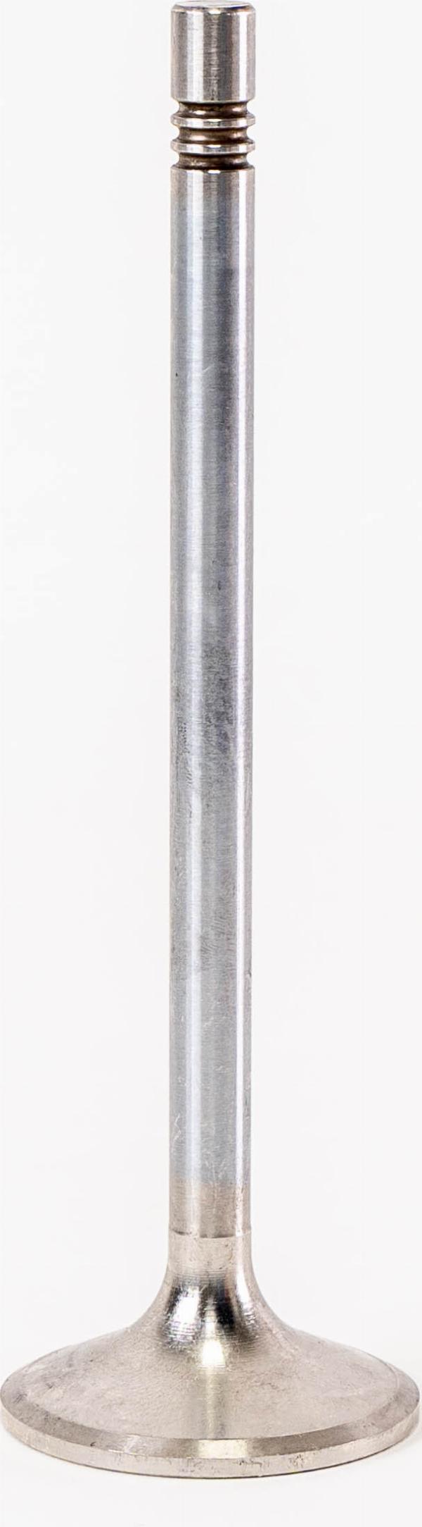 Magneti Marelli 825420 - Впускний клапан autozip.com.ua