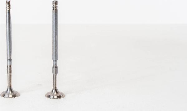Magneti Marelli 826970 - Впускний клапан autozip.com.ua