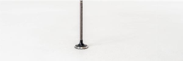 Magneti Marelli 820063 - Випускний клапан autozip.com.ua