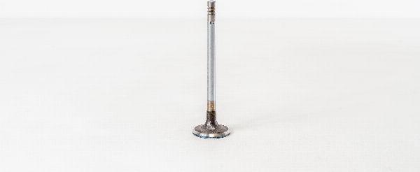 Magneti Marelli 820012 - Впускний клапан autozip.com.ua